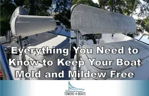Read more about the article Everything You Need to Know to Keep Your Boat Mold and Mildew Free