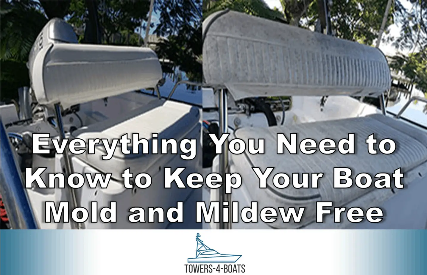 Everything You Need to Know to Keep Your Boat Mold and Mildew Free