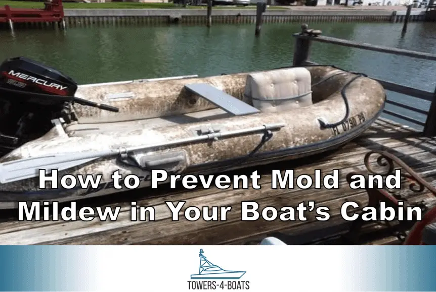 How to Prevent Mold and Mildew in Your Boat’s Cabin